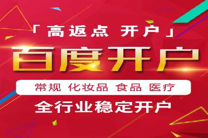 Sem优化公司案例：精准广告投放策略解析